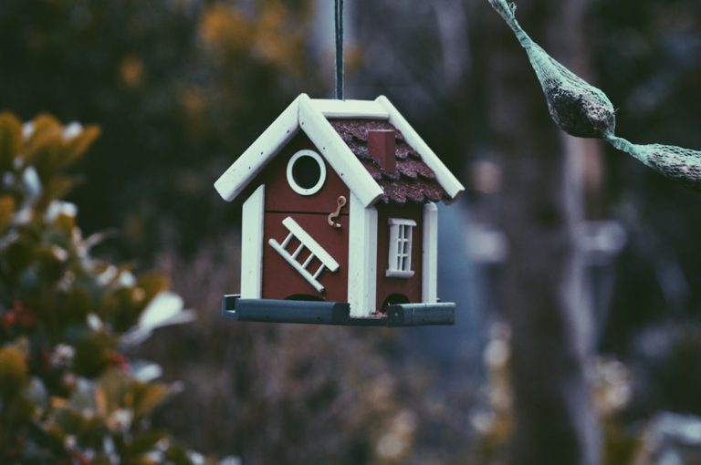 Maximize Your Home’s Appeal with Professional Staging for Open Houses