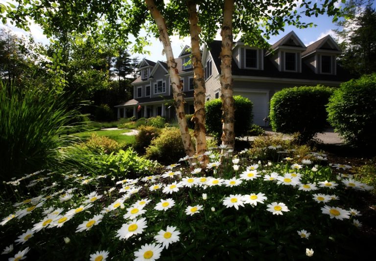 Revamp Your Living Space: The Art of Occupied Home Staging
